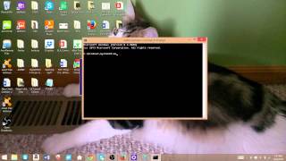 How to force Windows 7 81 to download the Windows 10 update files [upl. by Hrutkay428]