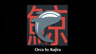 Kujira Protocol  Bid on Liquidations with Orca [upl. by Territus980]