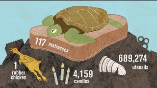 International Coastal Cleanup Data Release 2013 [upl. by Aynav880]