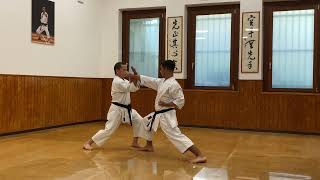 Bassai Dai  Full Karate Kata Explanation with Bunkai  Master Dario Marchini [upl. by Scevor]