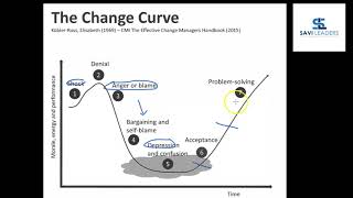 Understanding the Kubler Ross Change Curve [upl. by Analat]