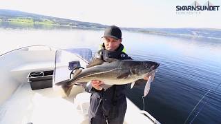 How to catch big coal fish in Norway [upl. by Chenee207]