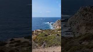 Carloforte Faro Capo Sandalo Sardegna 15092024 travel travelvlog traveling travelling [upl. by Innavoj]