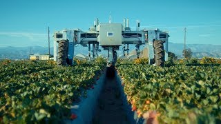 Worlds Most Robotic Technology In Agriculture The Future of Farming [upl. by Anirrak1]