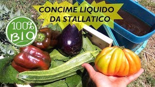 CONCIME LIQUIDO PER ORTO E PIANTE FAI DA TE DA STALLATICO [upl. by Okire479]