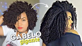 3 RECEITAS CASEIRAS PARA O CABELO CRESCER MAIS RÁPIDO Projeto Rapunzel [upl. by Arrec]