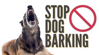 How To Quickly Stop Dog Barking [upl. by Ahsiym206]