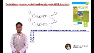 Perhatikan gambar untai nukleotida pada DNA berikut Jumlah nukleotida yang menyusun untai DNA [upl. by Adnorahc]