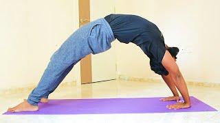 CHAKRASANA Amazing Variations to maximize your breathing POWERFUL YOGA [upl. by Sedda]