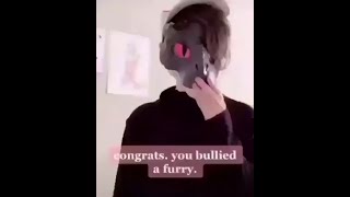 congratulations you bullied a furry heres your medal [upl. by Chrisman373]