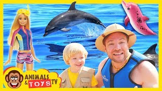 Learn about Dolphins for Kids  Barbie Dolphin Magic [upl. by Ahsuoj]