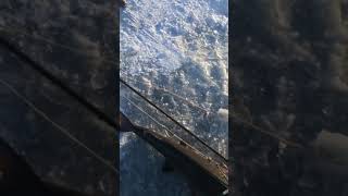 Sturgeon spearing 2019 Poygan [upl. by Ettener101]