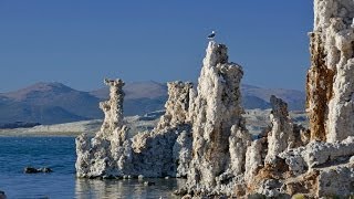 Spectacular Mono Lake California [upl. by Breana]