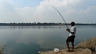 Awesome fishing  Wallago fishes catching in river [upl. by Lyndsay810]