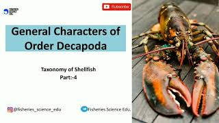 General Characters of order Decapoda  Taxonomy of Shellfish  Part 4  Fisheries Science [upl. by Gariepy]