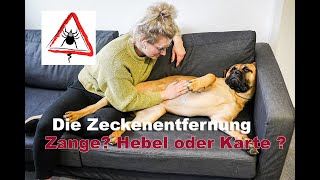 ACHTUNG ZECKE I Zecke beim Hund richtig entfernen I 4 herkömmliche Werkzeuge zur Entfernung [upl. by Mount]