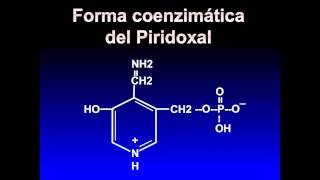 Vitaminas Piridoxina o Piridoxal B6 [upl. by Alilad711]