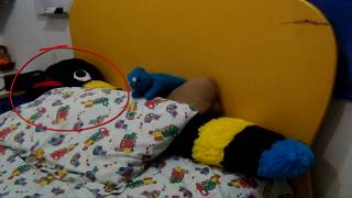 GUSANO DE PELUCHE SE MUEVE SOLO  TEDDY WORM MOVES BY ITSELF [upl. by Adur]