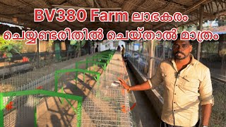 BV380 Farm ലാഭകരം ചെയ്യണ്ടരീതിൽ ചെയ്താൽ മാത്രം call 8289812614 [upl. by Garretson]