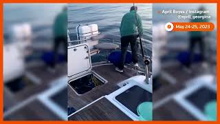 Orcas are attacking boats near Spain [upl. by Anan999]