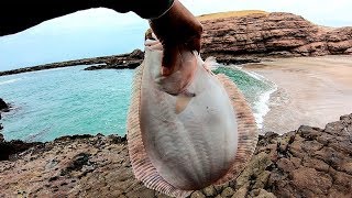 Debes usar este señuelo para pescar lenguado  How to fish soles with jigging [upl. by Alesandrini238]