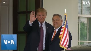 President Donald Trump welcomes Hungary PM Viktor Orban to the White House [upl. by Phil]