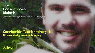 Saccharide Biochemistry glucose and glycosidic bonding [upl. by Yendis]