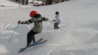 Teaching Skills for All Mountain Skiing [upl. by Necila]