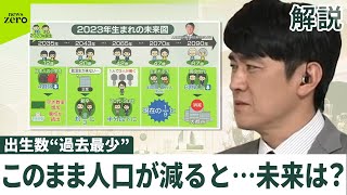 【出生数“過去最少”】待ち受ける未来は 2065年→「究極の人手不足」 2090年→大都市も働く人消える？ [upl. by Ecirp336]