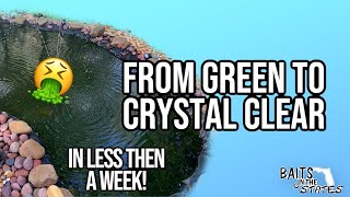 HOW TO MAKE YOUR POND WATER CLEAR FROM GREEN TO CRYSTAL CLEAR WATER [upl. by Giza455]