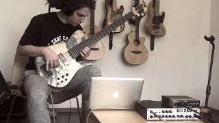 Janek Gwizdala  Light Years bass solo vlcekbasses [upl. by Aicinat476]