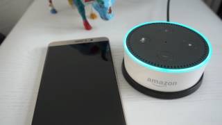 Amazon Alexa Echo Dot Kindle Bücher vorlesen lassen [upl. by Furmark]