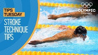 How To Improve Your Swimming Stroke Technique ft Coach Jack Bauerle  Olympians Tips [upl. by Nnylav]