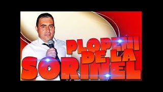 SORINEL DE LA PLOPENI  Mana caii vizitiu 2015 [upl. by Alberta]