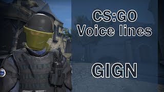 CSGO Agent Voice Lines GIGN [upl. by Oremar]