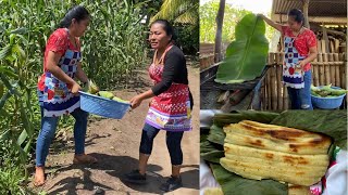 Preparando ricos taxcales tascales de elote 100 guatemalteco😋 [upl. by Ennovad]