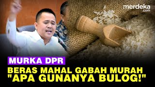 Full Anggota DPR Murka Bicara Lantang Depan Mendag Apa Gunanya Bulogquot [upl. by Knowle]