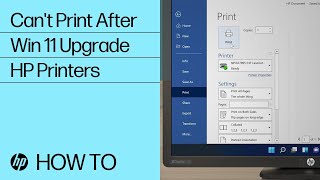 How to fix printing issues after a Windows 11 update or upgrade  Windows 11  HP Support [upl. by Akimihs]