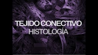 Tejido conectivo  Histología [upl. by Leddy729]