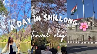 A DAY IN 📍SHILLONG🌸Cherry blossom festivalGoing back to Guwahatishillongtripyoutube [upl. by Elik]