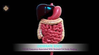 110 HZ  Healing Frequency for Stomach  Pancreas  Spleen  Liver  Galibladder  Digestive System [upl. by Eybbob893]