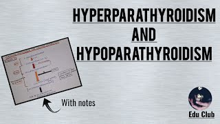 Hyperparathyroidism And Hypoparathyroidism  Disorders Of Calcium Homeostasis [upl. by Tellford]