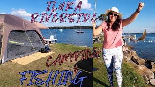 Heaps Of Fish Camping At Iluka Riverside Tourist Park [upl. by Nyl]