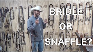 Bridle VS Snaffle  Something You May Not Have Known [upl. by Arella]