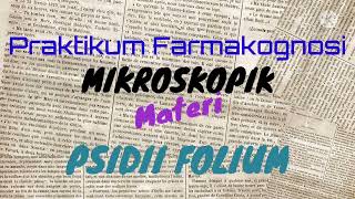 PSIDII FOLIUM MIKROSKOPIS PRAKTIKUM FARMAKOGNOSI [upl. by Nahtaneoj]