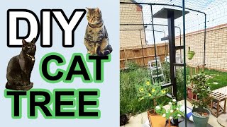 Setting Up Our Cat Tree from Cat Tree King [upl. by Sileray]