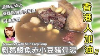 粉葛鯪魚赤小豆豬骨湯清熱去骨火  健脾袪濕  啱曬最近神經繃緊嘅香港人 [upl. by Hepsibah793]