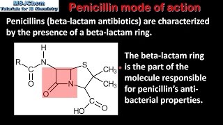 D2 Penicillin mode of action SL [upl. by Avla793]