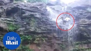 Terrifying selfie accident results in slipping down waterfall [upl. by Teiluj979]