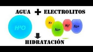 electrolitos  Bioquímica [upl. by Acimot569]